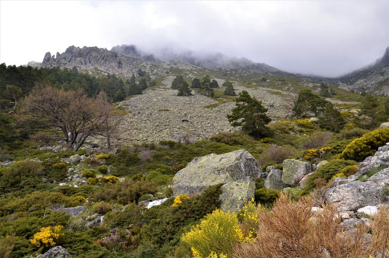 RUTA VALLE DE LA BARRANCA-6-6-2013-MADRID - Paseando por España-1991/2017 (28)