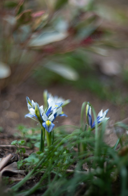 IMG-be3627bcd8b3e7b2c76c4242d471e393-V