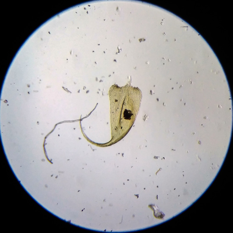 IMG 20250614 205347 HDR