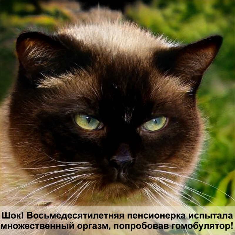 как чистить уши кошке