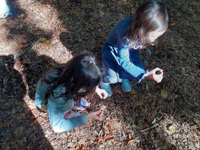 [Image: 20210921-115822.jpg]
