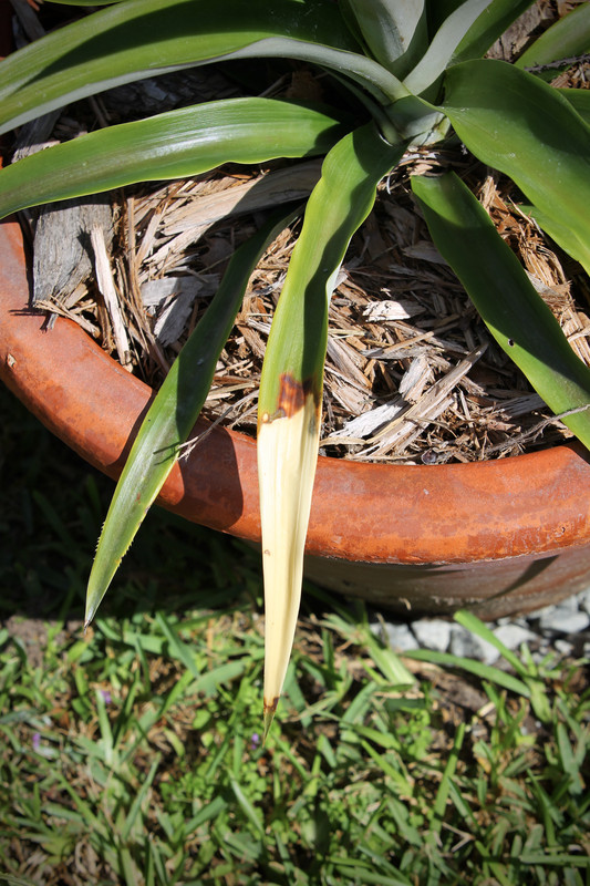 32D70FD0-C7A2-4CFC-91BF-0C9EC1D16AEF_1_201_a