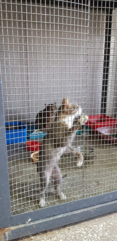 79AB6D14-05EA-43D5-B94E-7D9389F3C2D8