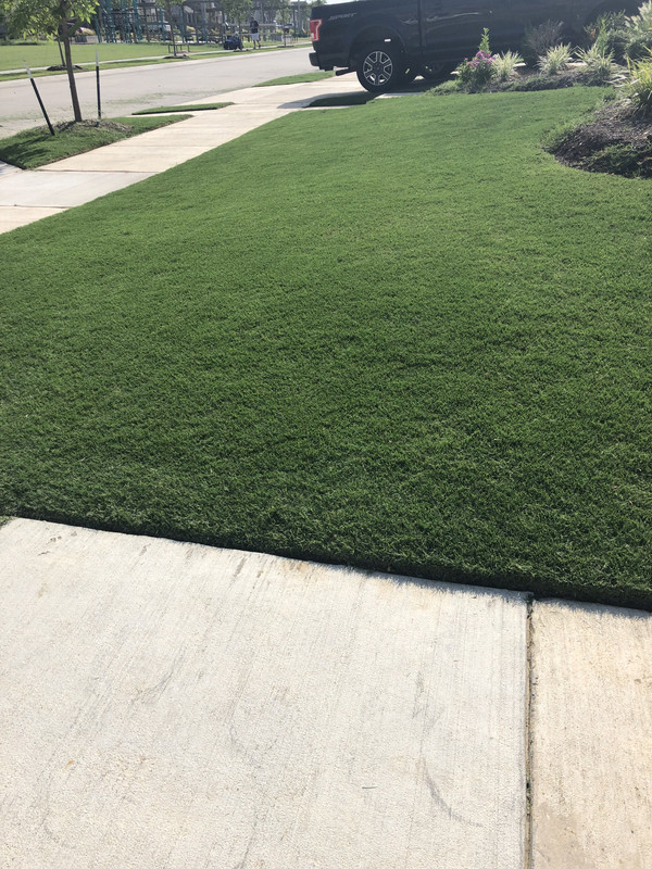 97D66AA6-A490-4173-9CEF-FACECE90C253