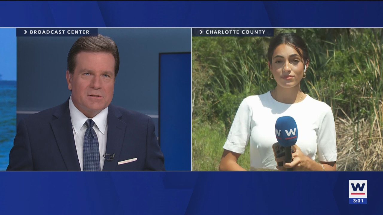 WINK News at 3pm_20250514_20002100.ts_snapshot_00.02.34.168