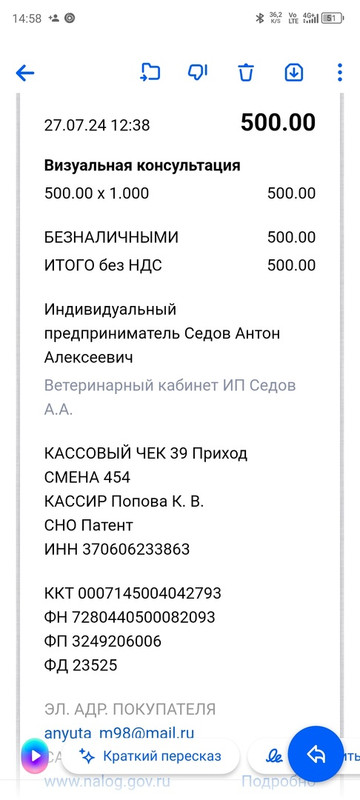 кошка чек ДД осмотр