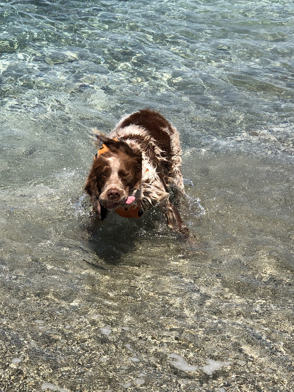 663C586D-92CB-4A05-8CAB-1E20AD126767