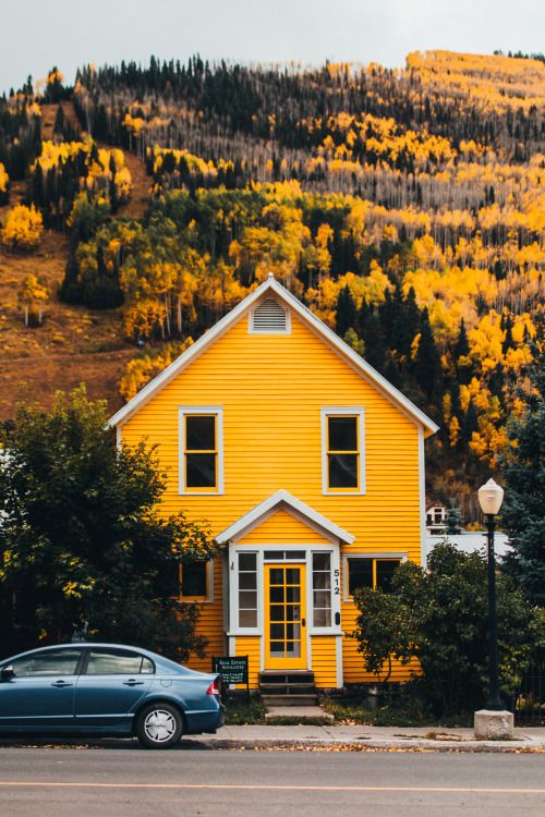 yellow-wood-house-new.jpg