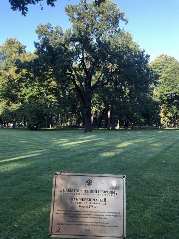 1065326C-4C6A-4582-BE75-DB5B7402DC2A