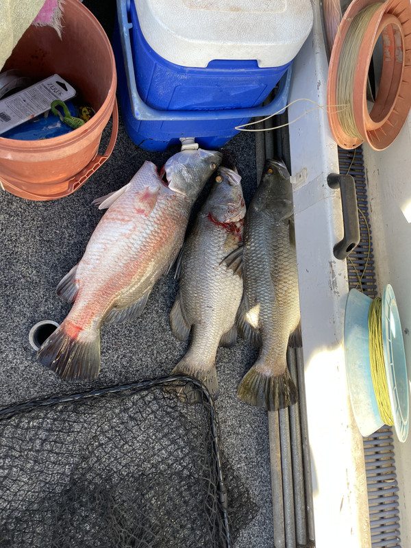 D0D726DA-EA88-48B2-BEF4-BBF803F43D68