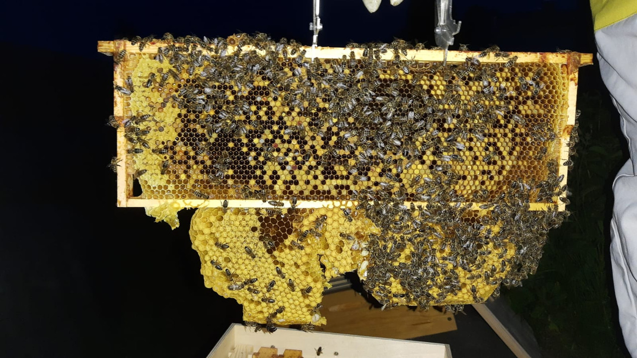 WhatsApp Image 2022-05-20 at 06.49.20(2)