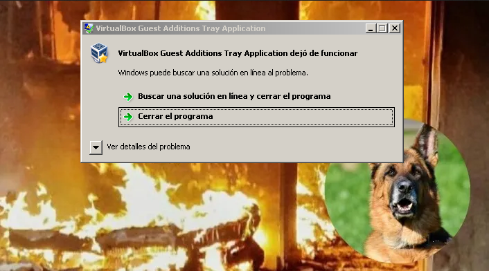 Perro se convierte en héroe al salvar a su familia de un incendio