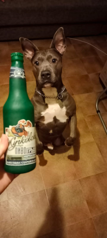 7BCDB0F0-A87E-40EE-8E31-5318F1C615C2