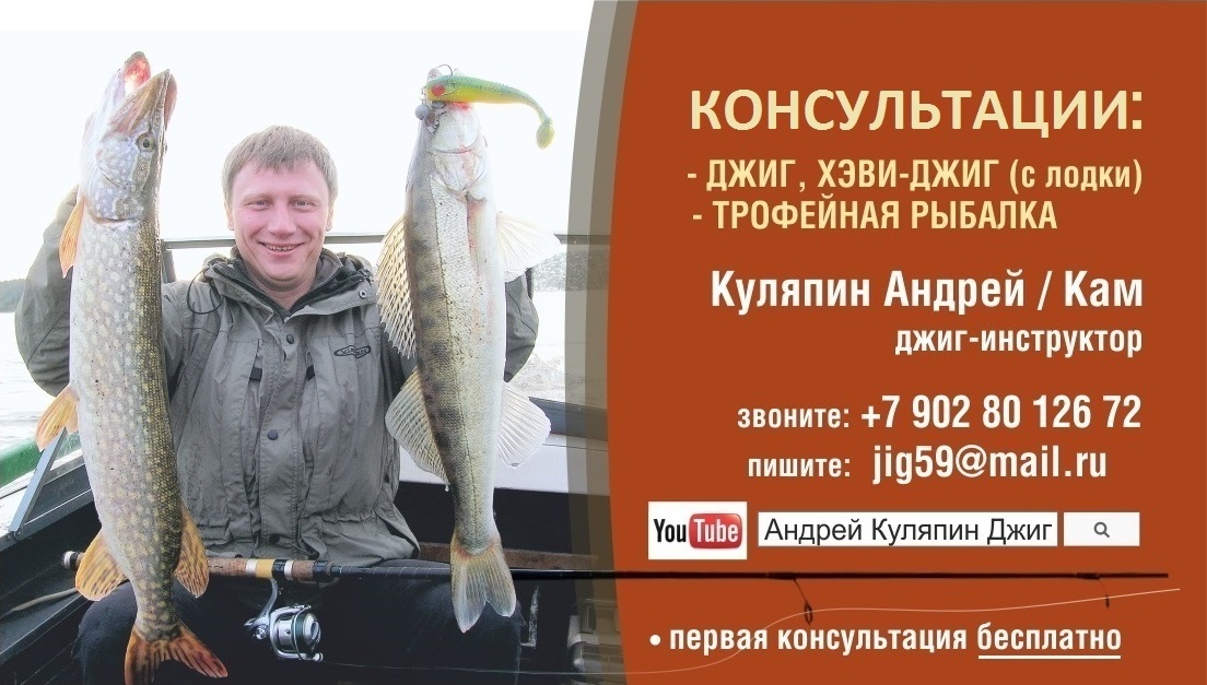 Куляпин Андрей КОНСУЛЬТАЦИИ 2016 — копия