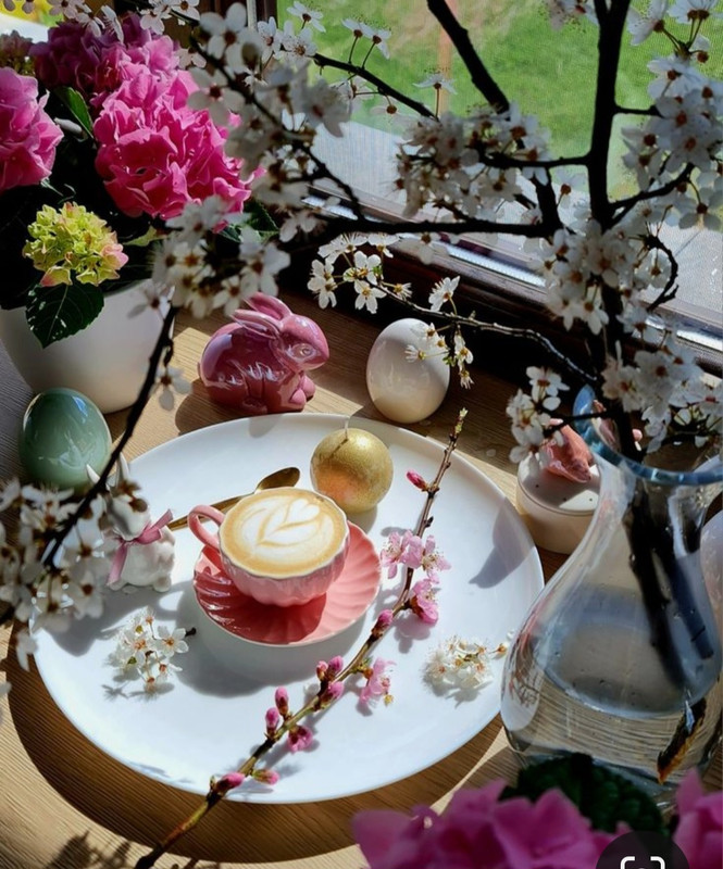 Screenshot_20240428_173939_Pinterest