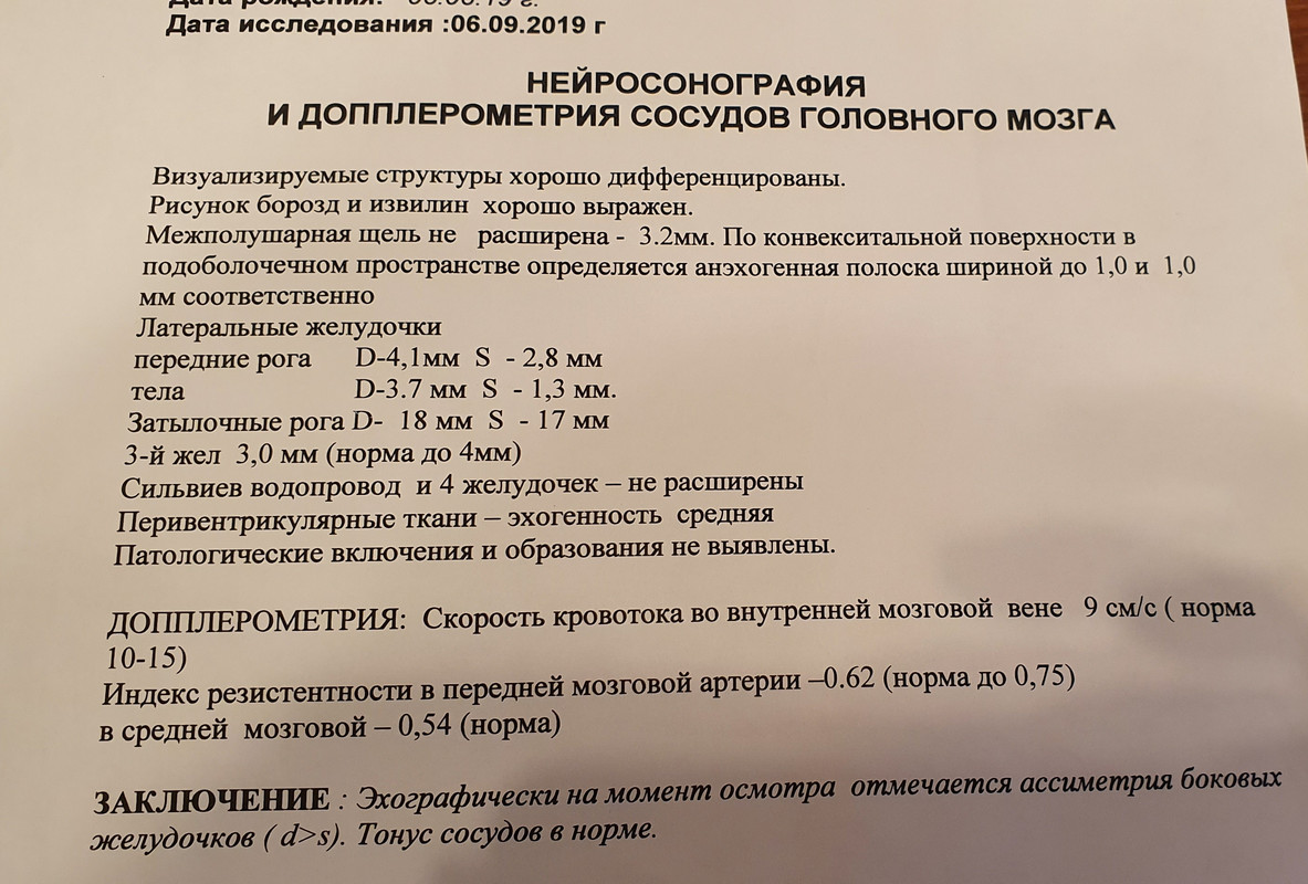 Узи родничка. Протокол УЗИ головного мозга у новорожденного. УЗИ головного мозга в 7 месяцев норма. УЗИ НСГ У новорожденных норма. Ультразвуковое исследование головного мозга - нейросонография (НСГ).