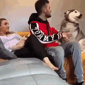 daily-gifdump-3420-20.gif