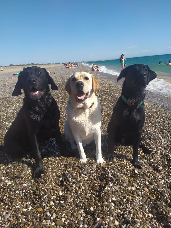 WhatsApp Image 2020-07-23 at 19.48.18(2)