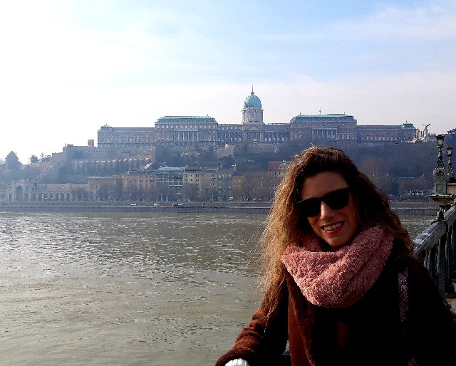 Puente de las Cadenas, Noria, estatuas, Parlamento, Catedral etc - BUDAPEST EN UN FIN DE SEMANA (2)