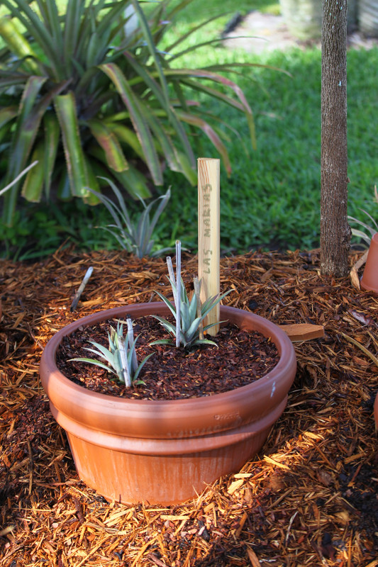 7C424E2E-B065-4D1E-B7BF-9DA3ED5F43DB