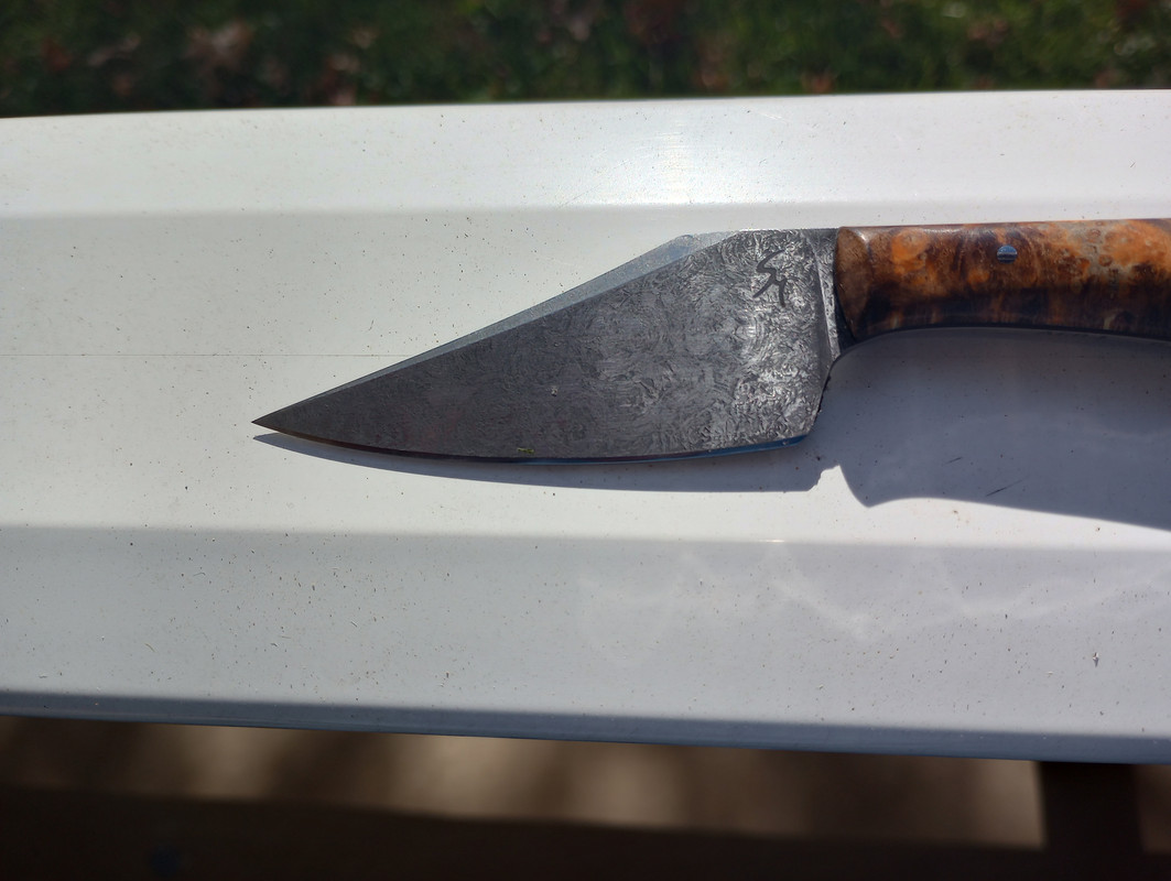 IMG_20231120_122717205_HDR