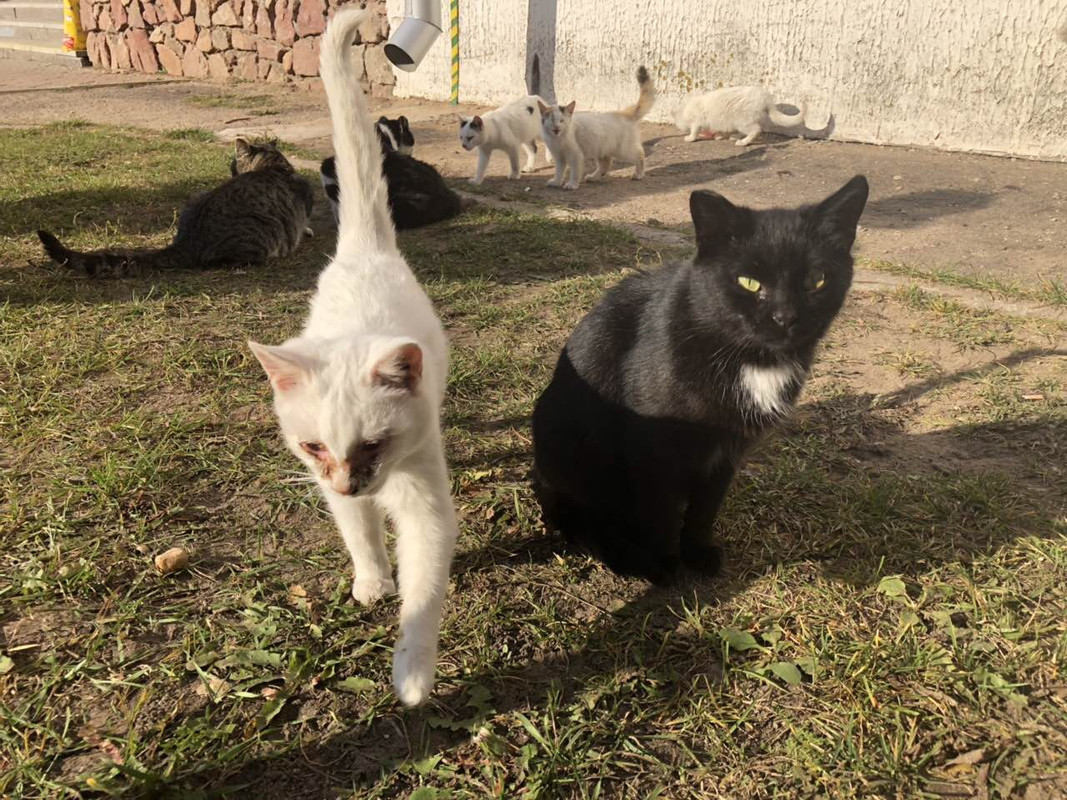 3ADDC7B4-D9BD-4ECE-971B-8FC52891F7AC