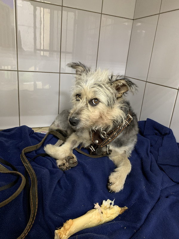 62DA97D7-E29E-4CFA-9BE1-0EA05C6AE86A