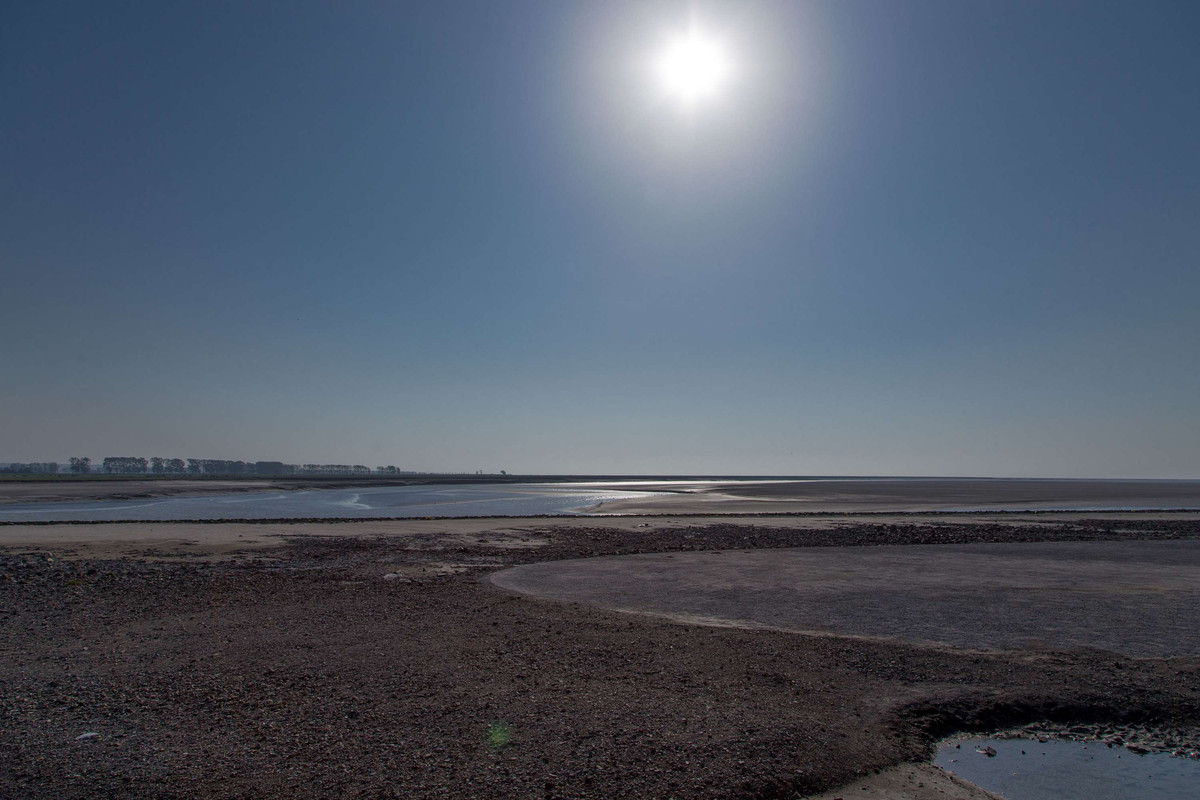 [Bild: IMG-1928.jpg]