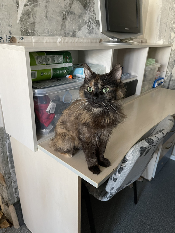 A7ABE07A-6384-44AC-9766-FC1244D52D9F