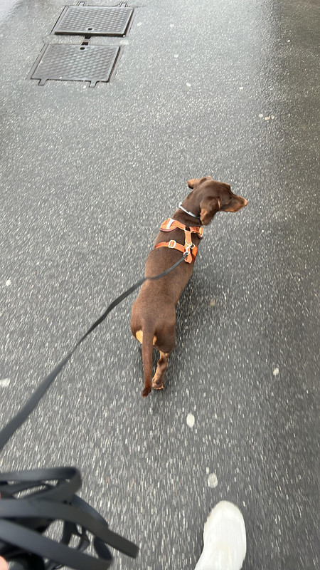 [Image: IMG-20251207-WA0004.jpg]