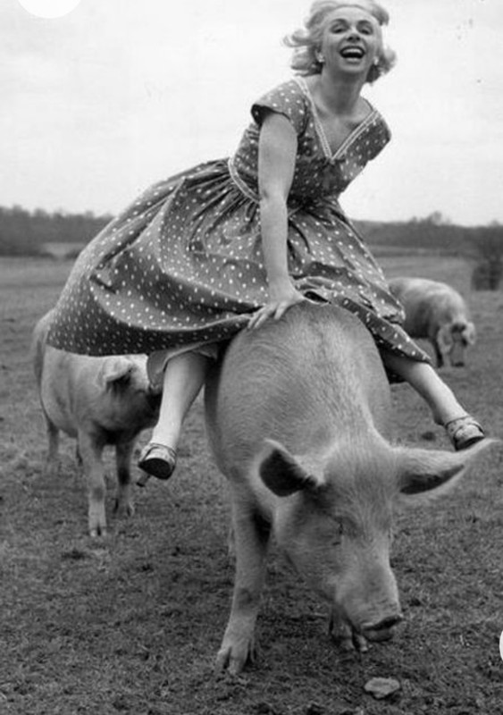 Screenshot_20230211_005839_Chrome