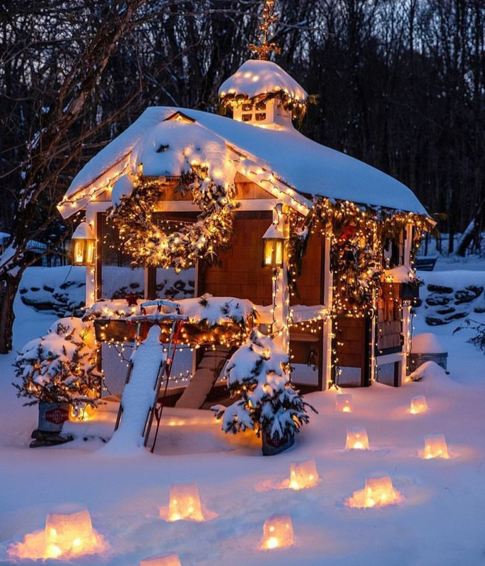 Screenshot_20231001_192532_Instagram