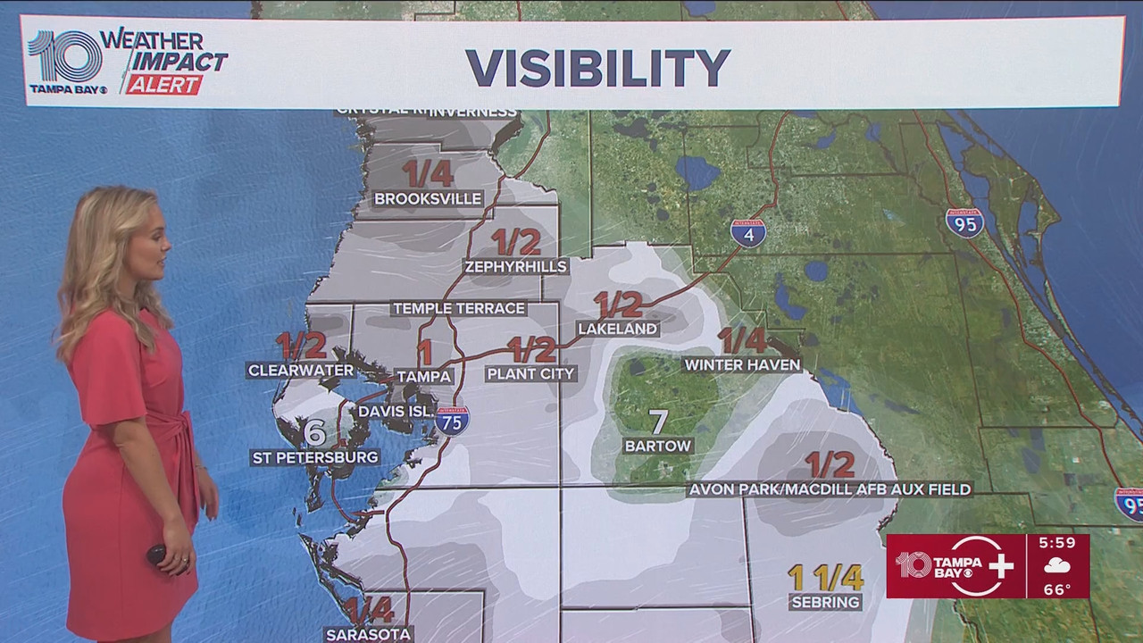 10 Tampa Bay News This Morning at 600 a m 20251124 11001200 ts snapshot 00 14 486