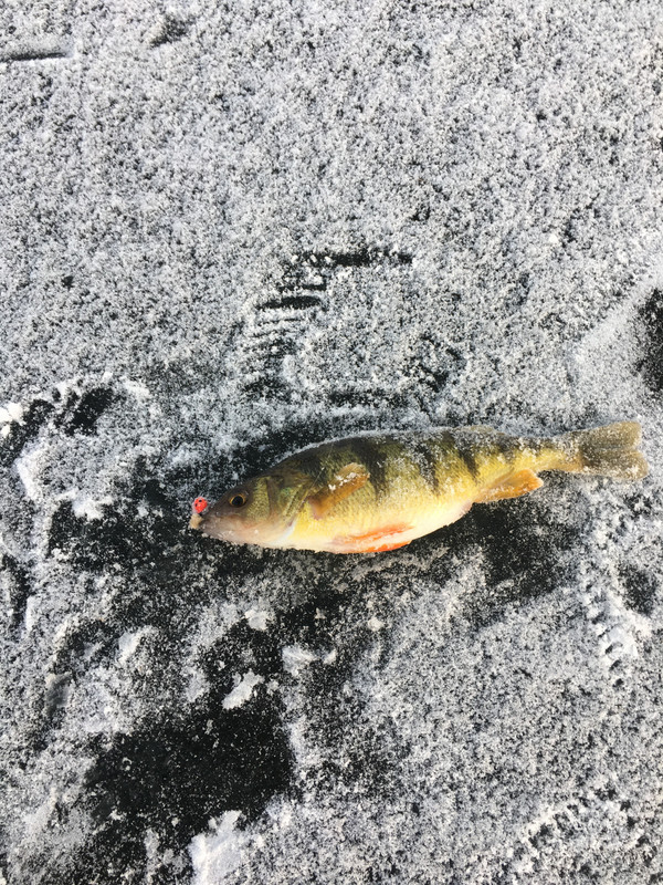 776E338F-C872-4044-B145-FAAC152546C1