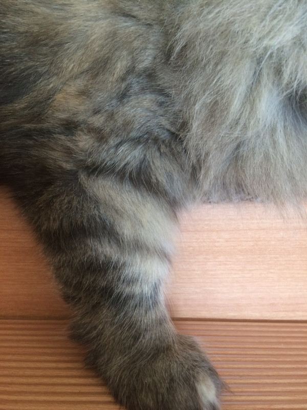 5D59B329-FD12-493F-81C9-571C7DFAE4A5