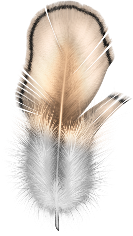 BIBI-PINK ANGEL ELEMS (14)