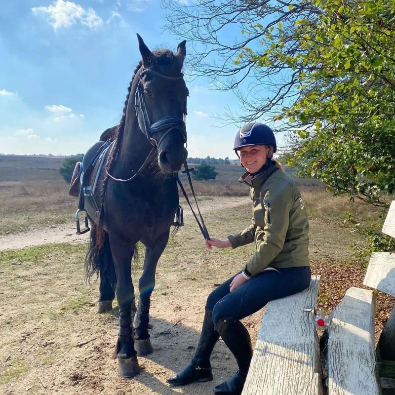 Is a Friesian Horse Right for Beginners? What You Need to Know