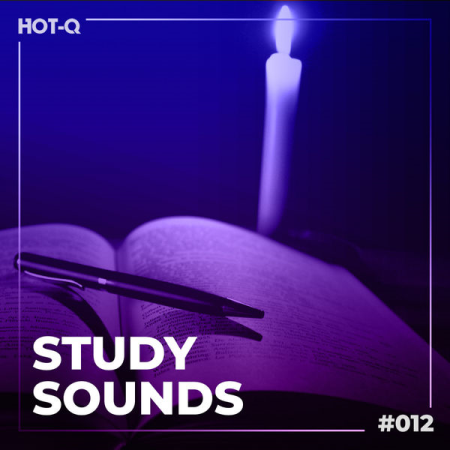 df3a730d e075 4f4d 8b6a f2c4c8e9221a - VA - Study Sounds 012 (2021)