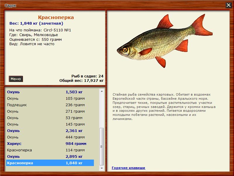краснопёрка блесна