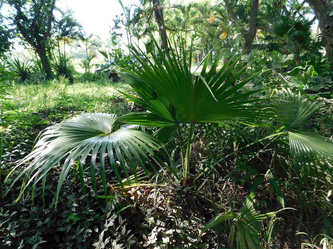 DSCN3204.jpg
