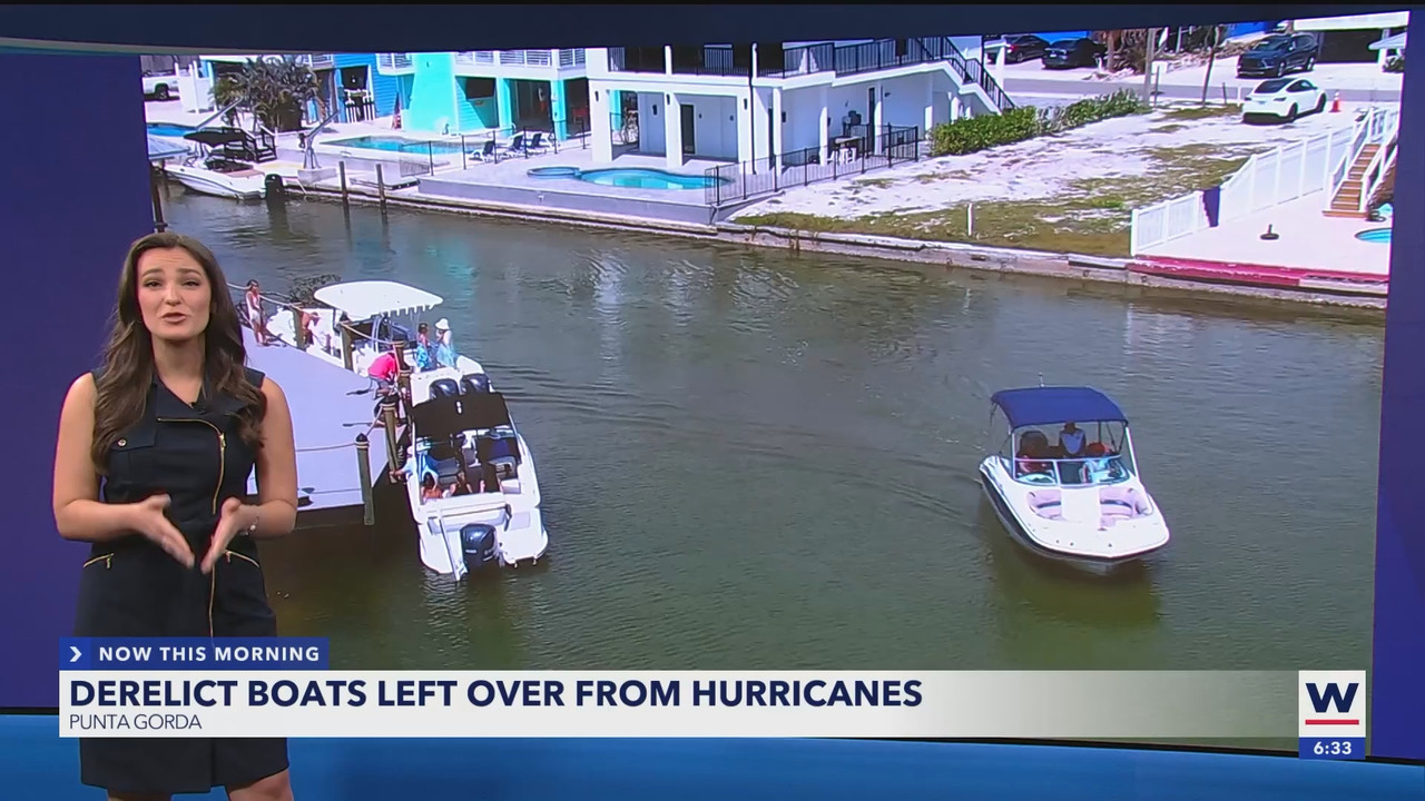 WINK NEWS at 600am Saturday_20250510_11001200.ts_snapshot_35.00.169