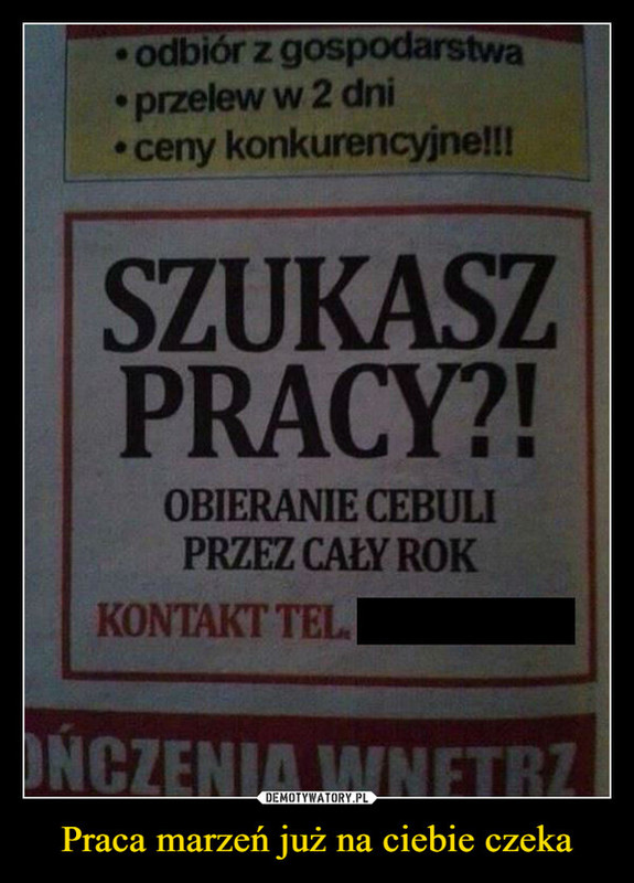 humor.jpg