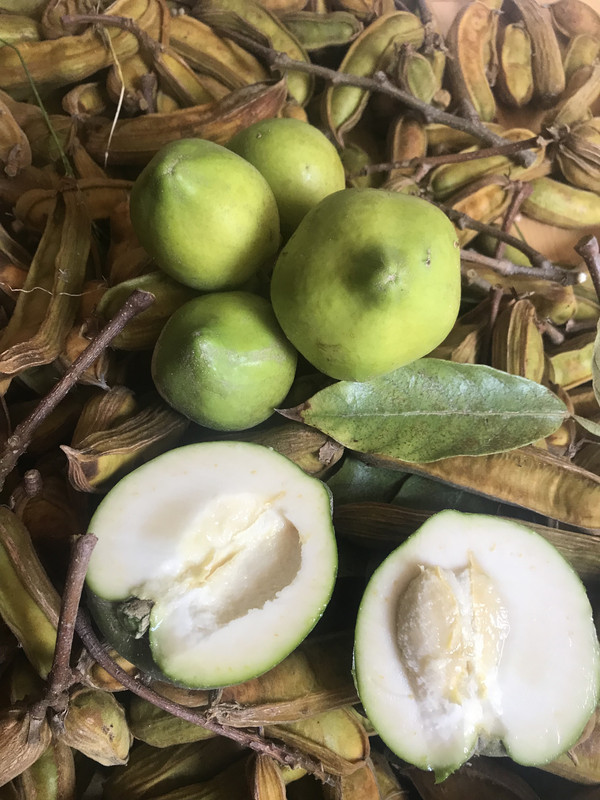 0834F23A-AE20-4553-8BFD-B36032131CCC