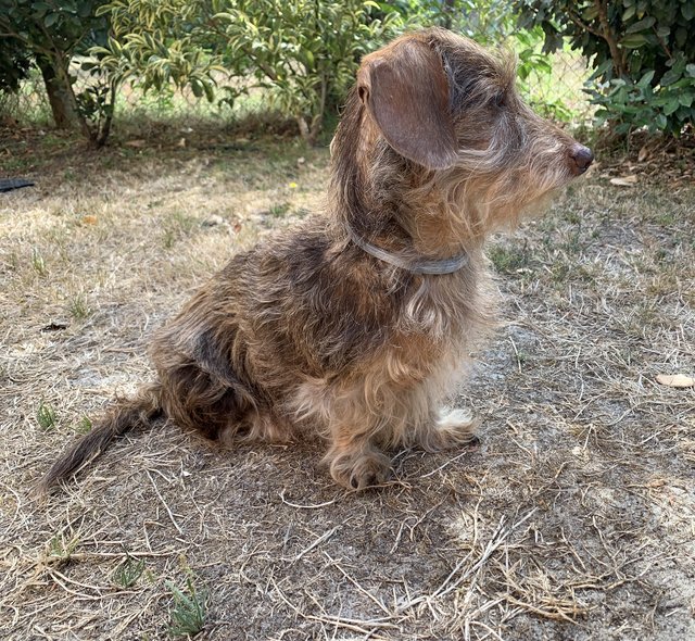 [Image: 54-D53-B09-4-C35-4364-8296-851-F4-E4-F4-FC5.jpg]