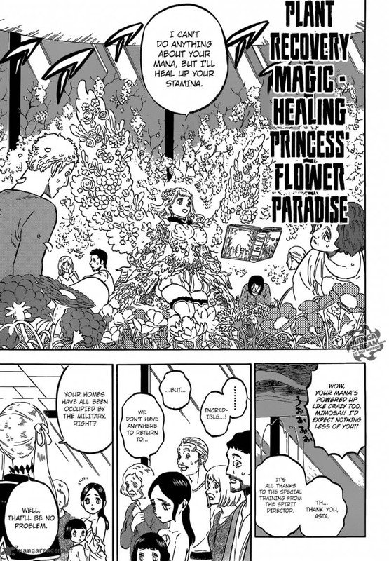 black-clover-13117075