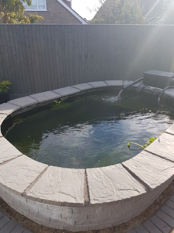 15390771233191706178029