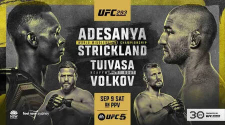  UFC 293 