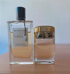 IMG 20251105 104938 edit 646624854765695