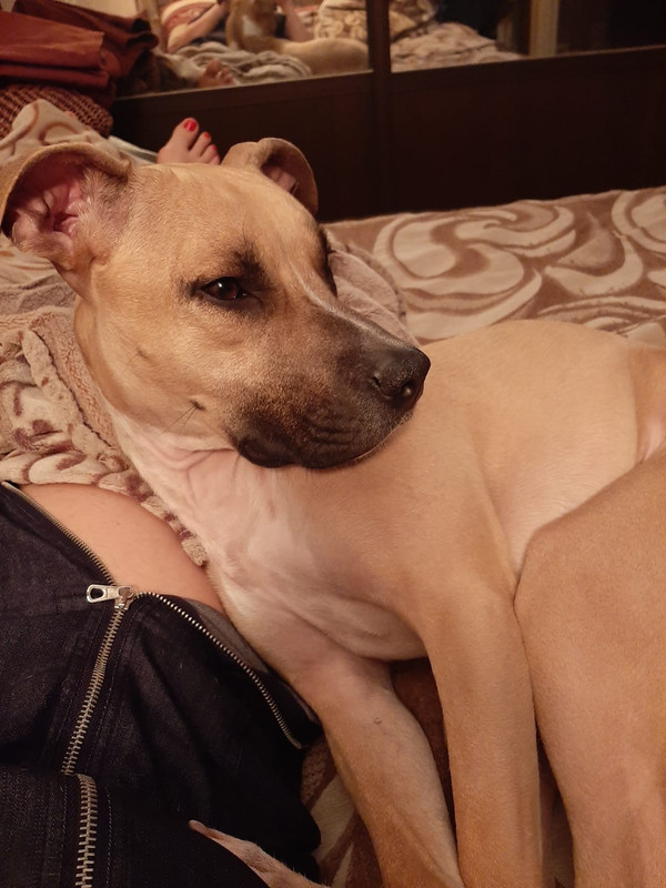 8739EDAF-AE2C-4227-8B73-45076FA7F6E7