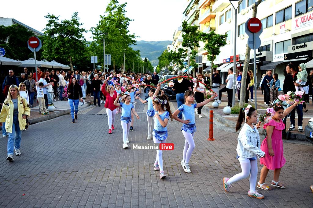 anthestiria-DSC-1226